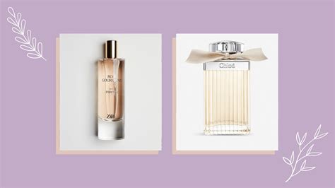 zara perfume chloe